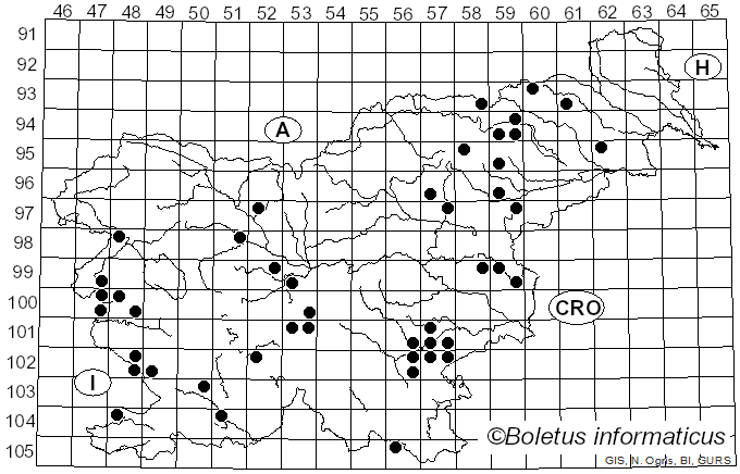 <i>Calonarius callochrous</i> (Pers.) Niskanen & Liimat. (2022)