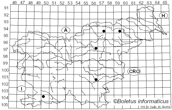 <i>Panaeolus leucophanes</i> (Berk. & Broome) Sacc. (1887)