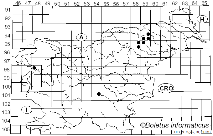 <i>Inonotus leporinus</i> (Fr.) Gilb. & Ryvarden (1993)