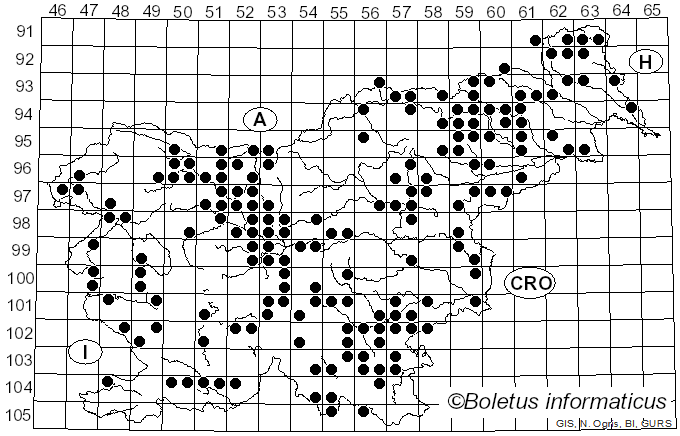 <i>Coprinellus micaceus</i> (Bull.) Vilgalys, Hopple & Jacq. Johnson (2001)