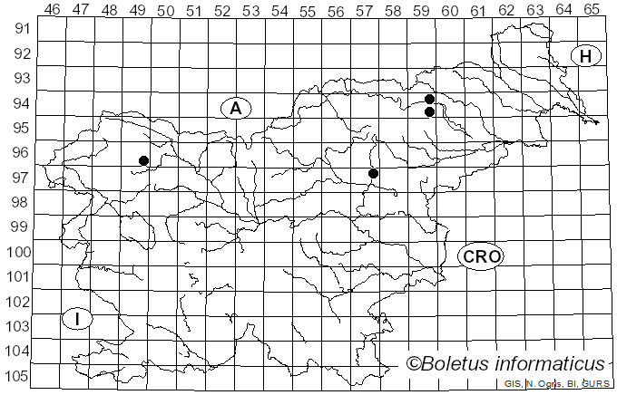 <i>Entocybe turbida</i> (Fr.) T.J. Baroni, V. Hofst. & Largent (2011)