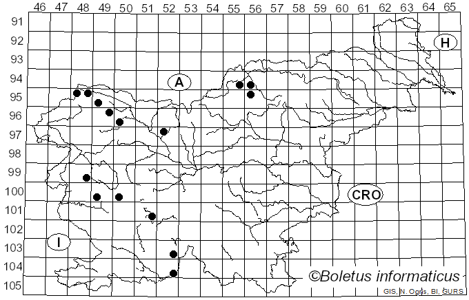 <i>Amandinea</i> M. Choisy ex Scheid. & M. Mayrhofer (1993)