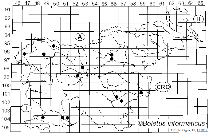 <i>Geoscypha violacea</i> (Pers.) Lambotte (1887)