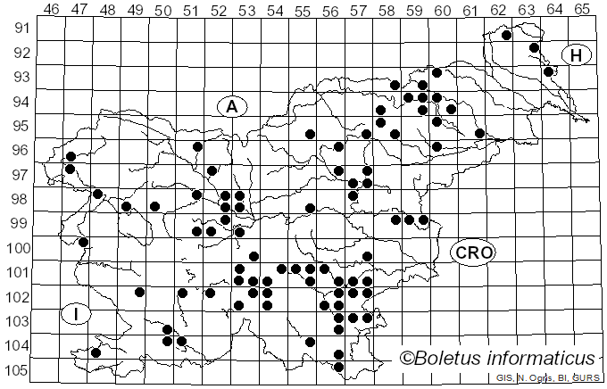 <i>Russula melliolens</i> Quél. (1901)