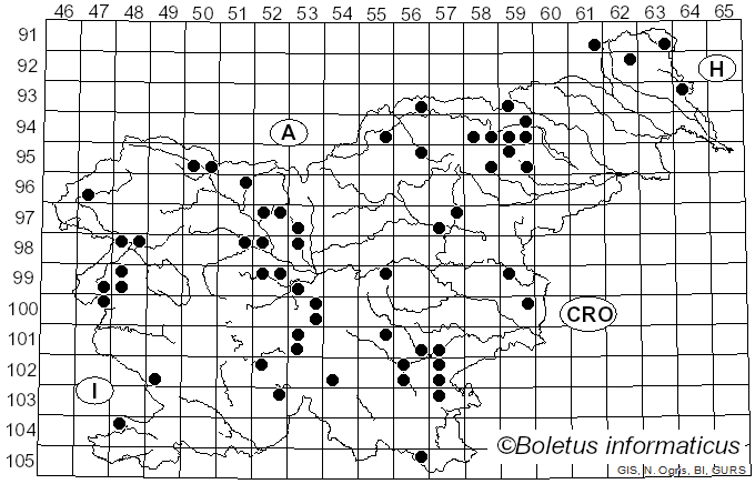 <i>Tricholoma fulvum</i> (Bull.) Sacc. (1913)