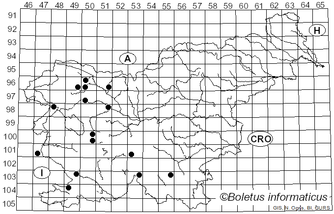 <i>Steccherinum fimbriatum</i> (Pers.) J. Erikss. (1958)