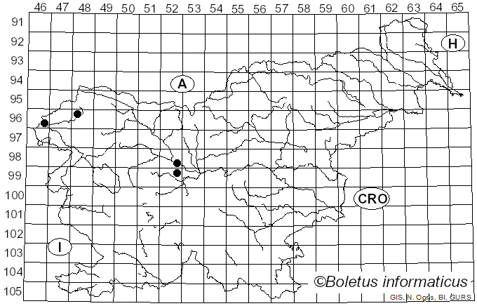 <i>Cladonia foliacea</i> (Huds.) Willd. (1787)