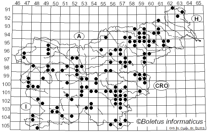 <i>Phlegmacium glaucopus</i> (Schaeff.) Wünsche (1877)