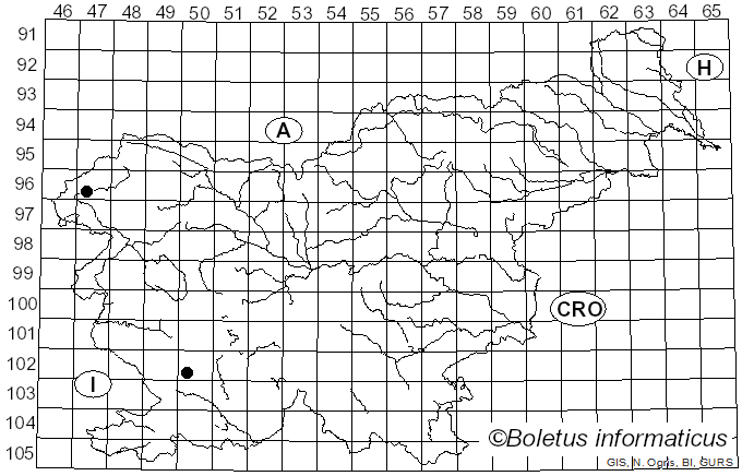 <i>Ascobolus michaudii</i> Boud. (1907)