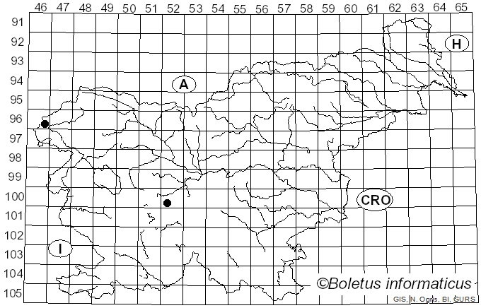 <i>Squamarina cartilaginea</i> var. <i>cartilaginea</i> (With.) P. James (1980)