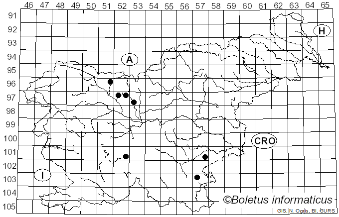 <i>Naematelia</i> Fr. (1818)