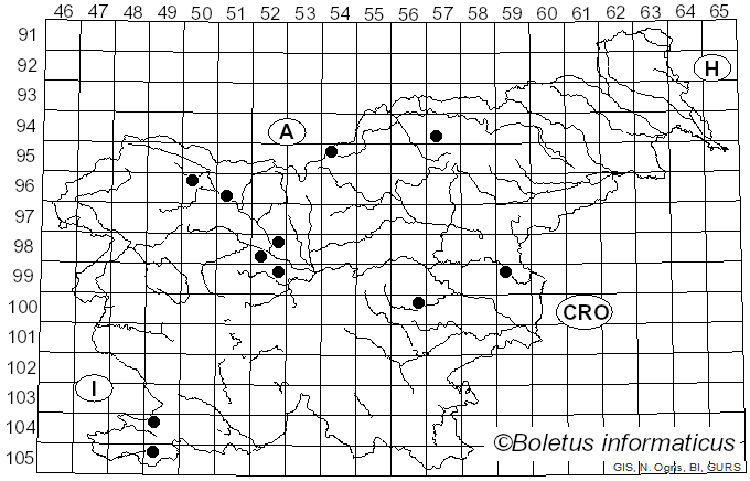 <i>Hypomyces rosellus</i> (Alb. & Schwein.) Tul. & C. Tul. (1860)