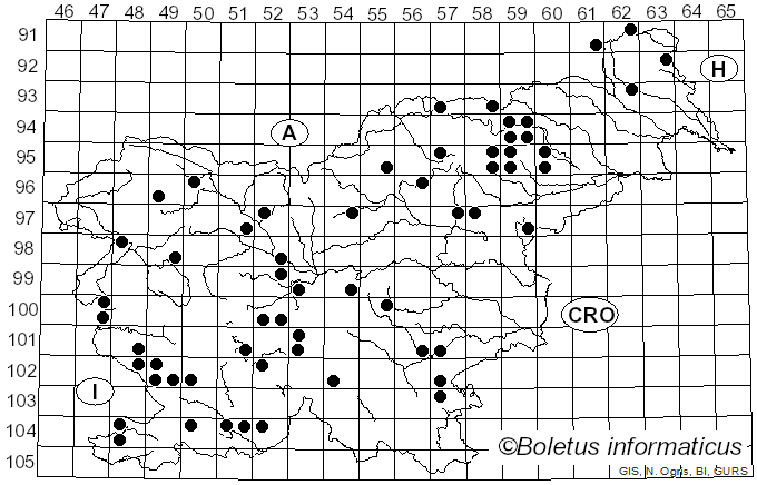<i>Tricholoma imbricatum</i> (Fr.) P. Kumm. (1871)