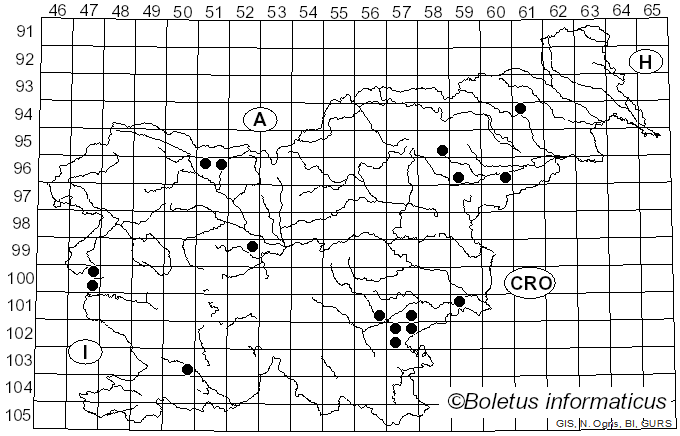 <i>Pluteus thomsonii</i> (Berk. & Broome) Dennis (1948)