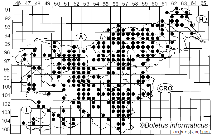 <i>Tapinella atrotomentosa</i> (Batsch) Šutara (1992)
