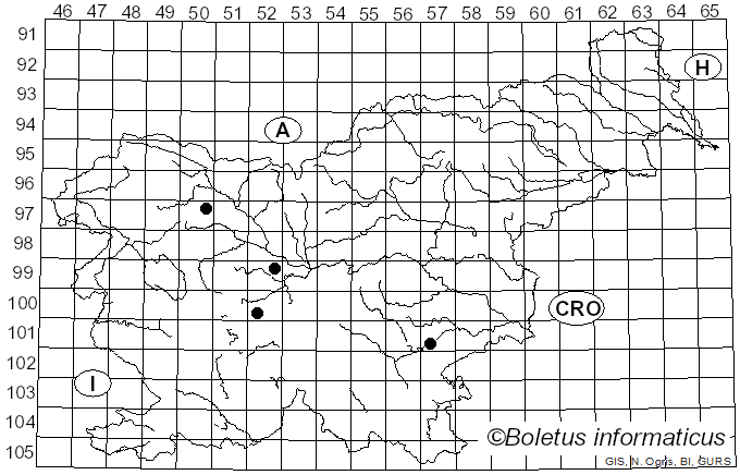 <i>Leucopaxillus lentus</i> (H. Post) Singer (1943)