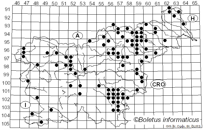 <i>Xerocomellus pruinatus</i> (Fr.) Šutara (2008)