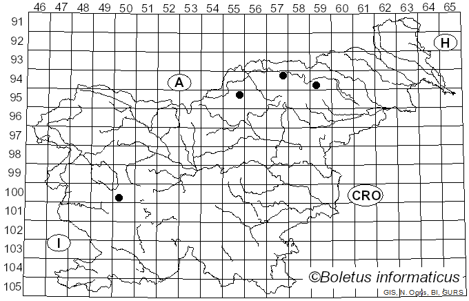 <i>Physconia enteroxantha</i> (Nyl.) Poelt (1966)