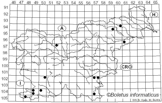<i>Tuber aestivum</i> Vittad. (1831)
