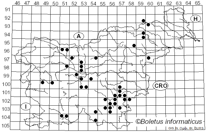 <i>Hericium coralloides</i> (Scop.) Pers. (1794)