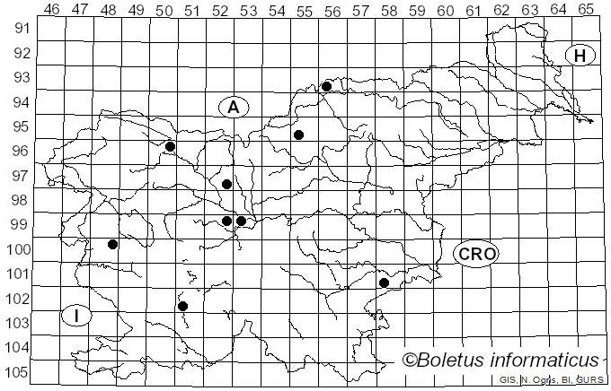 <i>Rhizosphaera</i> L. Mangin & Har. (1907)