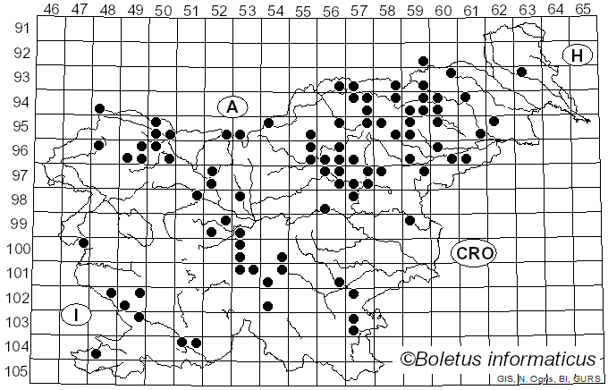 <i>Russula vinosa</i> Lindblad (1901)