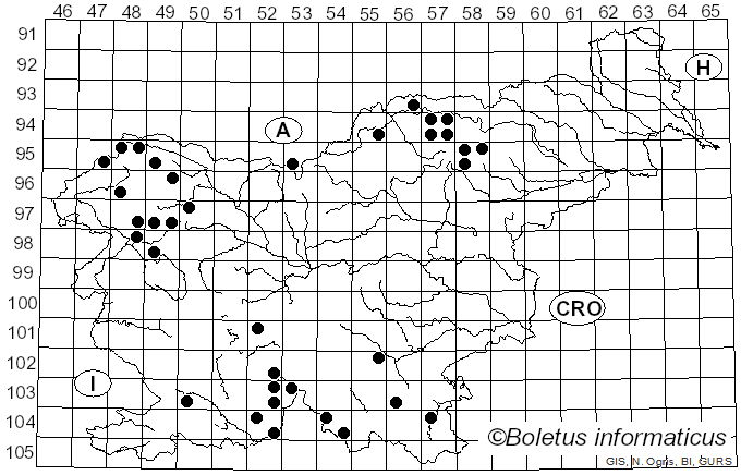 <i>Lecanora albella</i> (Pers.) Ach. (1810)