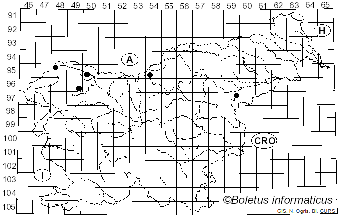 <i>Fomitopsis officinalis</i> (Vill.) Bondartsev & Singer (1941)