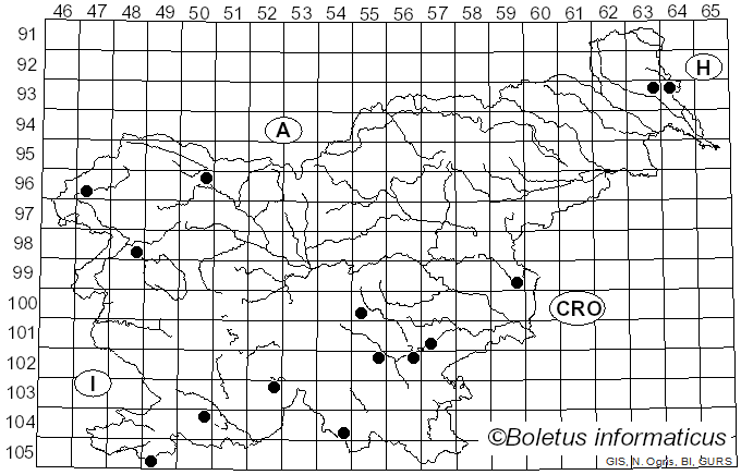 <i>Flammulaster limulatus</i> (Fr. ex Weinm.) Watling (1967)