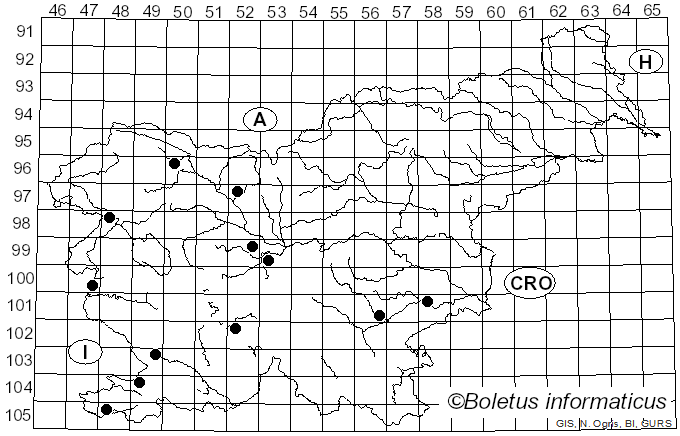 <i>Radulomyces molaris</i> (Chaillet) M.P. Christ. (1960)