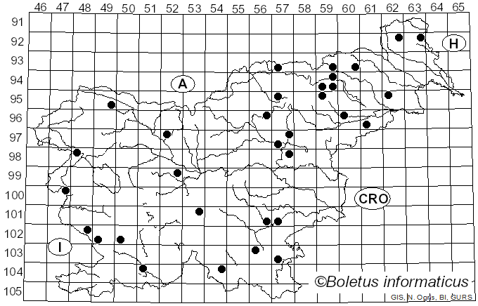 <i>Agaricus macrocarpus</i> (F.H. Møller) F.H. Møller (1952)