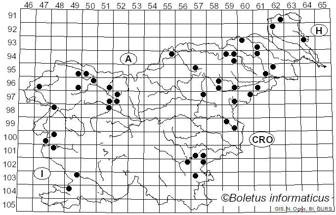 <i>Parasola conopila</i> (Fr.) Örstadius & E. Larss. (2008)