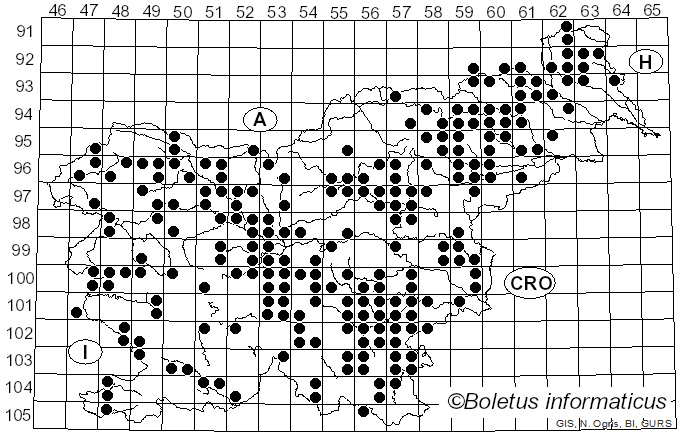 <i>Gymnopus dryophilus</i> (Bull.) Murrill (1916)