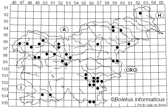 <i>Clavulinopsis</i> Overeem (1923)