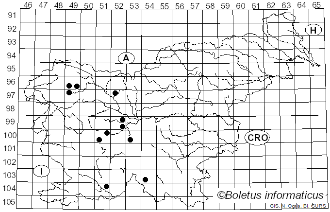 <i>Parasyrphus annulatus</i> Zetterstedt