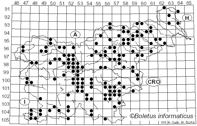 <i>Lentinellus</i> P. Karst. (1879)