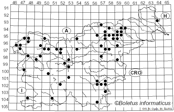<i>Aureonarius callisteus</i> (Fr.) Niskanen & Liimat. (2022)