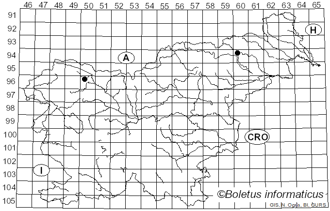 <i>Rhodofomes</i> Kotl. & Pouzar (1990)