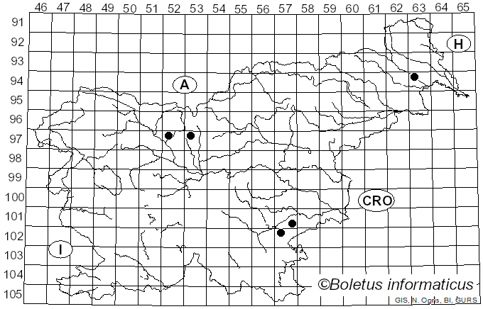 <i>Velutarina rufo-olivacea</i> (Alb. & Schwein.) Korf (1953)