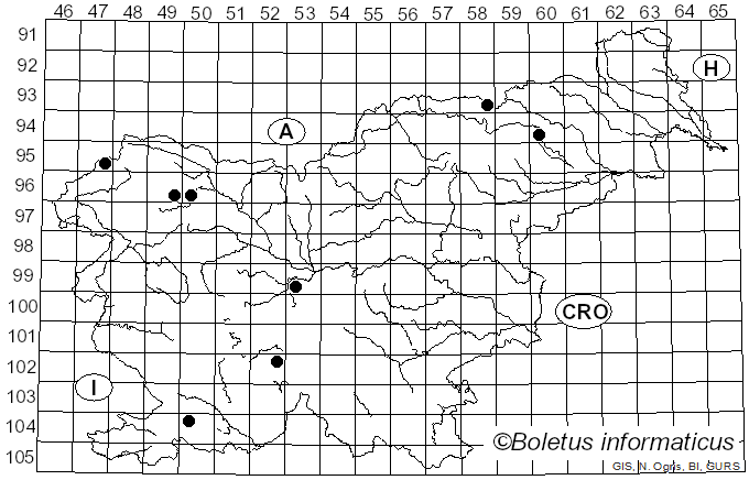 <i>Panaeolus acuminatus</i> (P. Kumm.) Quél. (1872)