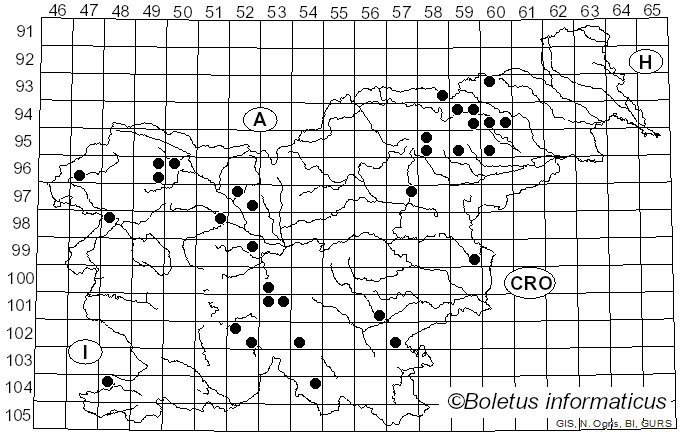 <i>Rugosomyces</i> Raithelh. (1979)