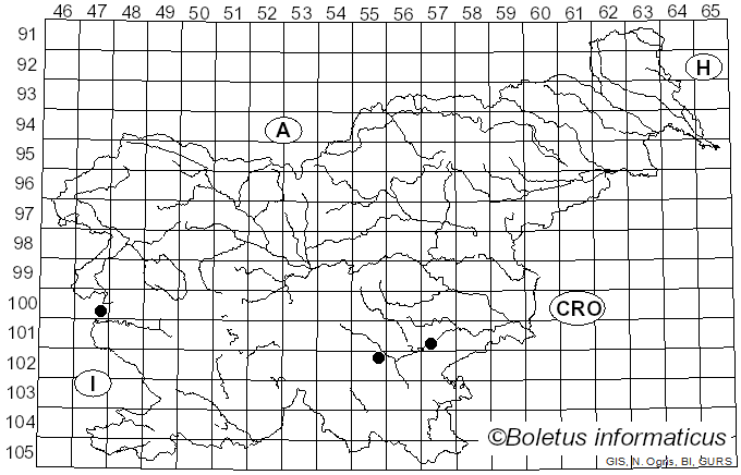 <i>Flammulaster muricatus</i> (Fr.) Watling (1967)