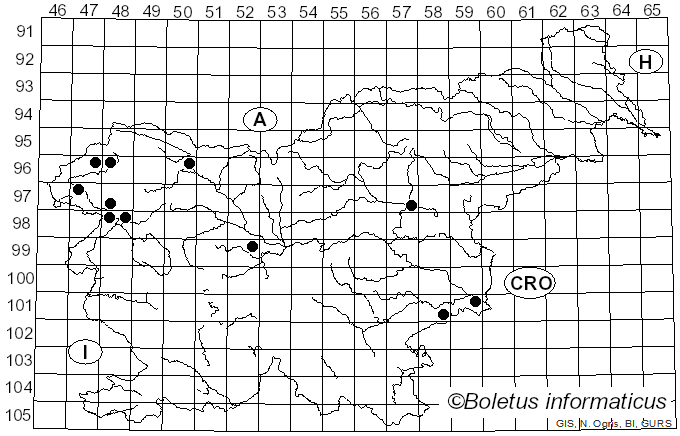 <i>Lecanosticta acicola</i> (Thüm.) Syd. (1924)