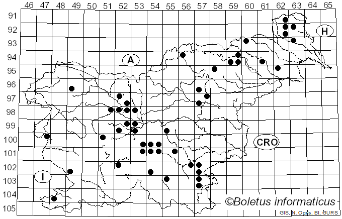 <i>Hygrophorus atramentosus</i> Secr. ex H. Haas & R. Haller Aar. (1978)