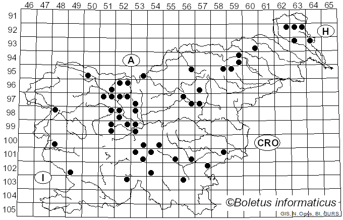 <i>Tricholoma fucatum</i> (Fr.) P. Kumm. (1871)