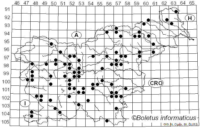 <i>Agaricus arvensis</i> Schaeff. (1774)