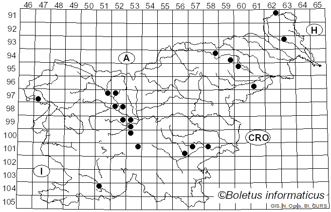 <i>Inocybe godeyi</i> Gillet (1874)
