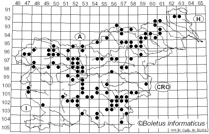 <i>Gloeophyllum sepiarium</i> (Wulfen) P. Karst. (1879)