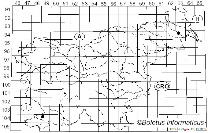 <i>Lasiosphaeris</i> Clem. (1909)