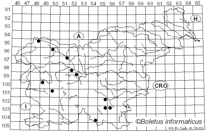 <i>Mycoacia gilvescens</i> (Bres.) Zmitr. (2018)
